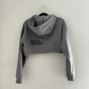 The North Face Coordinates Cropped Drop Pullover Hoodie in Light Grey Heather Photo 1