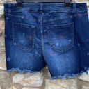 Lane Bryant  Jean shorts with stars size 14 Photo 6