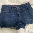 New York & Co. Denim Shorts Photo 0