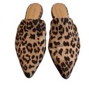 Banana Republic  Factory Cheetah Slide Mules Photo 2