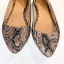 Old Navy Snakeskin Flats Photo 1