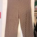 Spring Polka dot pant set Sz M Brown Size M Photo 2