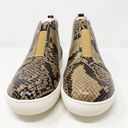 Coconuts by Matisse  Love Worn Sneakers NWT 7.5 Photo 7