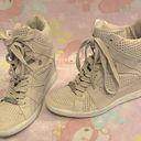 Coach Alexis Suede beige hightop sneakers (NEW) 8.5-9 Photo 3