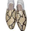 Banana Republic  Leather Snake Print Mules Size 8.5 Photo 4