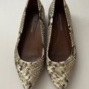 Donald Pliner Donald J Pliner snake skin gold studded flats 6 Photo 1