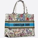 Christian Dior NWT Dior MEDIUM DIOR BOOK TOTE Latte D-Constellation Embroidery Photo 1