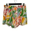 Flying Tomato NWOT Vici Collection  High Rise Shorts Size XL Photo 1