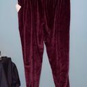 Abound  Burgundy Velour Joggers with Pockets Size 1X Photo 4