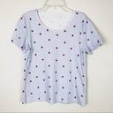 Vintage Blue  & White Gingham Ladybug Picnic Pattern Scoop Neck Tshirt Size S Photo 0