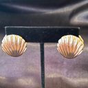 Boutique Gold Seashell Large Stud Earrings Photo 6