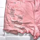 American Eagle  Outfitters Pink Distressed Denim Shorts Size 6 Photo 1