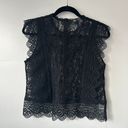 ZARA Black Semi Sheer Black Lace Top Photo 0