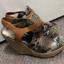 Carlos Santana  Snake Skin Wedges 7.5 Photo 2