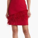 Sam Edelman Feather hem sheath Red Wine Dress NWT $158 Valentines Woman size 10 Photo 0