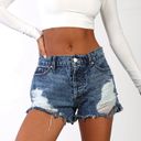 Revice Denim REVICE Malibu Cutoff High Waisted Denim Booty Shorts - TOPANGA WASH Photo 0