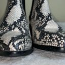 Steve Madden  Boots Womens 5.5M Black Cream Barrel Snakeskin Ankle Booties Photo 4