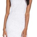 BB Dakota NWT  x Steve Madden | Cara High Neck White Lace Cocktail Dress Photo 0