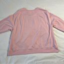 Champion  Women's 2X Pink Long-Sleeve Crew Neck Embroidered Sweater Athleticwear Photo 5