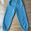 Aritzia Cozy Mega Sweatpants Photo 0