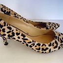 ZARA  Kitten Heel Fall Trend Leopard Print Shoes Photo 1