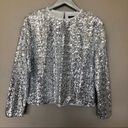 Something Navy  All Over Silver Sequin Long Sleeve Blouse Photo 1