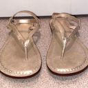 Bernardo Metallic Gold Sandals  Photo 0