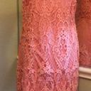 Acemi Lace Peach Dress SZ L Photo 1