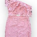 Lush Clothing Lush NWT Coral Pink One Shoulder Floral Crochet Lace‎ Sheath Dress Size S Photo 4