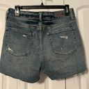 Treasure & Bond  Jean Shorts Photo 4