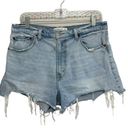 Abercrombie & Fitch  The High Rise Mom Short - Size 31/12 Photo 0