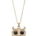 Aeropostale Jeweled Owl Statement Necklace Photo 0