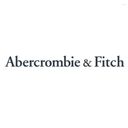 Abercrombie & Fitch Womens  Curve Love High Rise Short Blue Jean Shorts Size 27 4 Photo 4