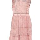 Heartloom NWT Pink Lace Tiered Dress Photo 1