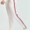 Petal Bandier X Twenty Olympic Mesh Track Pants  Pink Stripe Womens Size Medium Photo 1