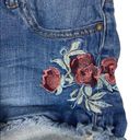 Daisy Machine Denim Shorts Embroidered Cut Offs  Dukes Size 30 Photo 1