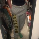 Champion Michigan Wolverines Sweatpant Photo 6