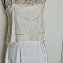 Chelsea and Violet Chelsea Violet Dress Sz Medium Beige Eyelet Mini Graduation Ceremony Bohowestern Photo 5