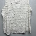 Coldwater Creek  Ruffle Fringe Womens Beach Workwear Feminine Elegant Top Size 2X Photo 3