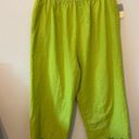 kim rogers  Linen Blend Pull On Crop Pants Size Large Green Embroidered Pineapple Photo 0