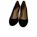 Ann Taylor  Tinsley Black Suede Jewel Rhinestone Gold Block Heel Size 7m9 Photo 1