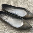 Audrey Brooke  CICI Metallic Textile Ballet Flats Pointy Toes Women’s size 8 Photo 2