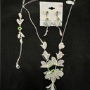 Petal 🦋 Stone assented metal  jewelry set Photo 1