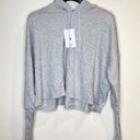 Nike NWT  Yoga Luxe Crop Training Gray Hoodie Sweatshirt Size XL Photo 1