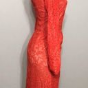 Trina Turk  red lace dress. XS. NWOT Photo 3