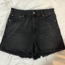 American Eagle Outfitters Jean Shorts Photo 0