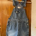Tinsel Town Overalls  Photo 0