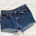 Polo Vintage  Ralph Lauren Shorts Photo 0