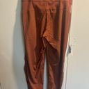 Lululemon  Dance Studio Jogger Dark Terracotta Size 6 Photo 1