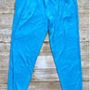 Generation Love NWT  Ivy Joggers Scuba Blue Photo 7